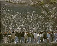 Mur des ammonites, prs de Digne